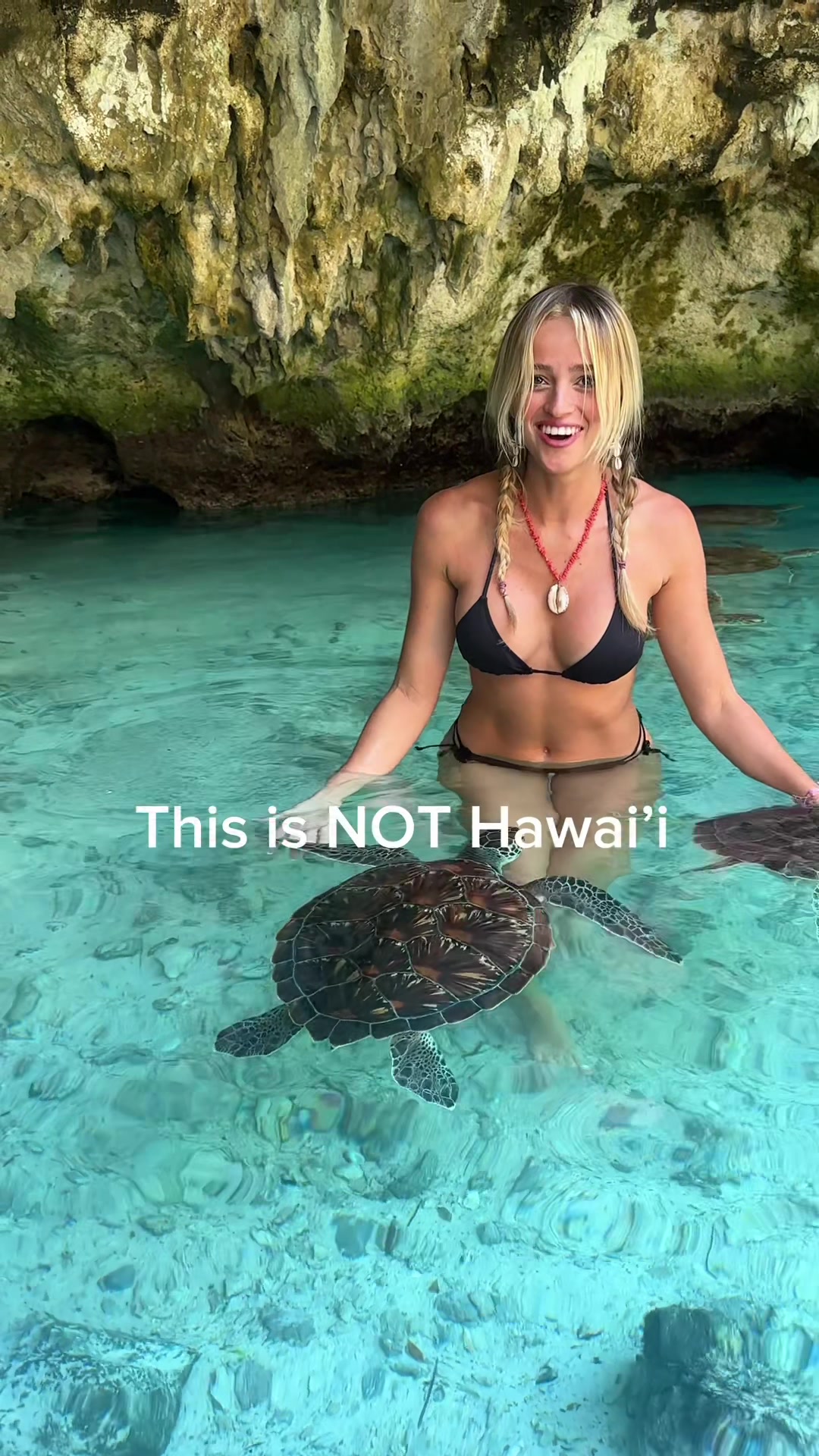 Save this if you plan to go someday🐠🌊: 🌴1 night stone town -explore, shop, eat at secret garden / night market 🌊4 nights jambiani -kiteboarding, starfish, sailing, insane sandbars, most beautiful beach IMO, you can find locals to take you to do all activities inexpensively! 🐬3 nights nungwi - dolphin diving with Mermaid Experience, Nanasi beach restaurant, do a tour to snorkel Mnemba island🏝️ And follow to see the world❤️✈️ #zanzibar #tanzania #travel #osmoaction6 #underwater