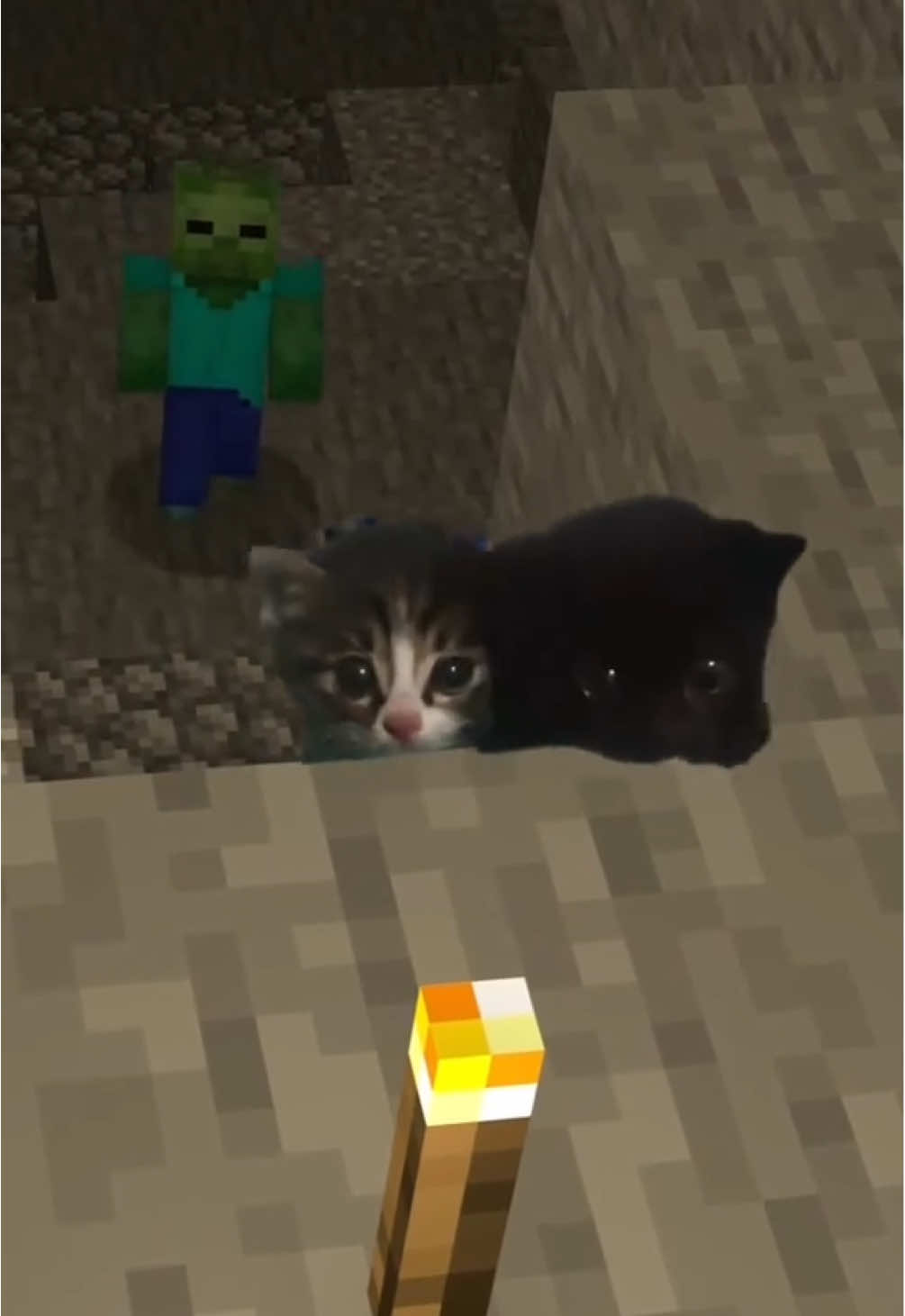 No survival instincts (song: ilyTOMMY - zzz) *drops April 3rd* #ilytommy #hoodtrap #minecraft #cats #tiktok 
