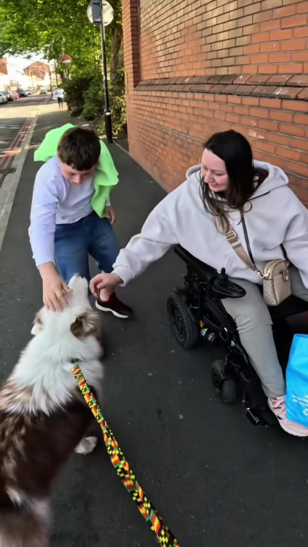 Interactions with my dog compilation!!  #fyp #foryou #viral #dogs #violasnow